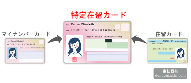 特定在留カード